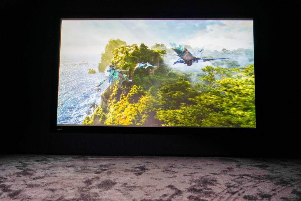 Luxury TSR Electrical Cinema Room